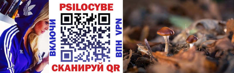 где можно купить наркотик  Покровск  Псилоцибиновые грибы Cubensis 